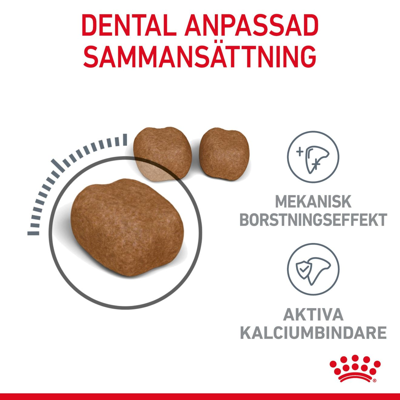 Royal Canin Dental Care