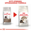 Royal Canin Senior Ageing 12+