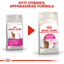 Royal Canin Savour Exigent dual smakupplevelsen