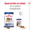 Royal Canin Maxi Adult