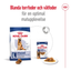 Royal Canin Maxi Adult 5+