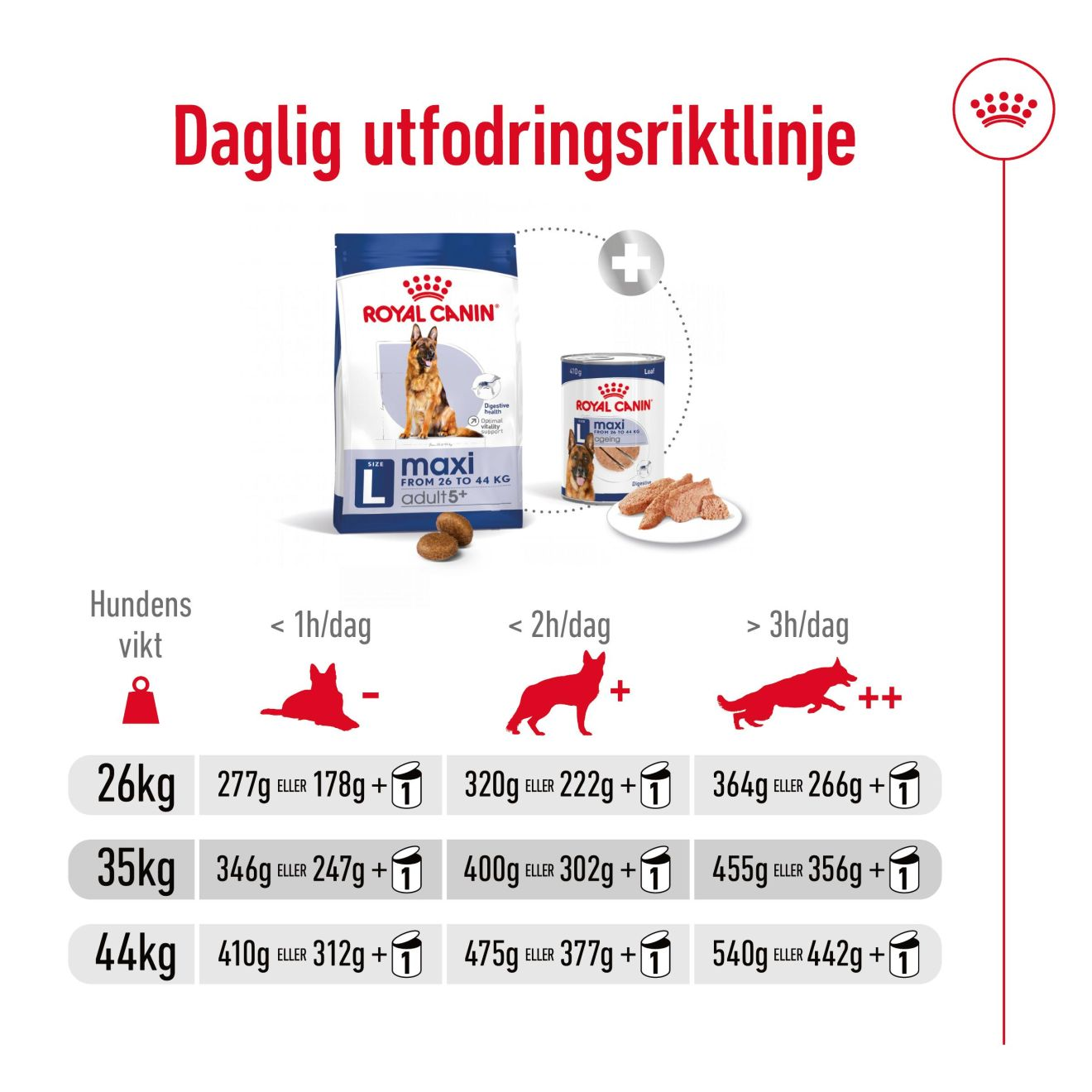 Royal Canin Maxi Adult 5+