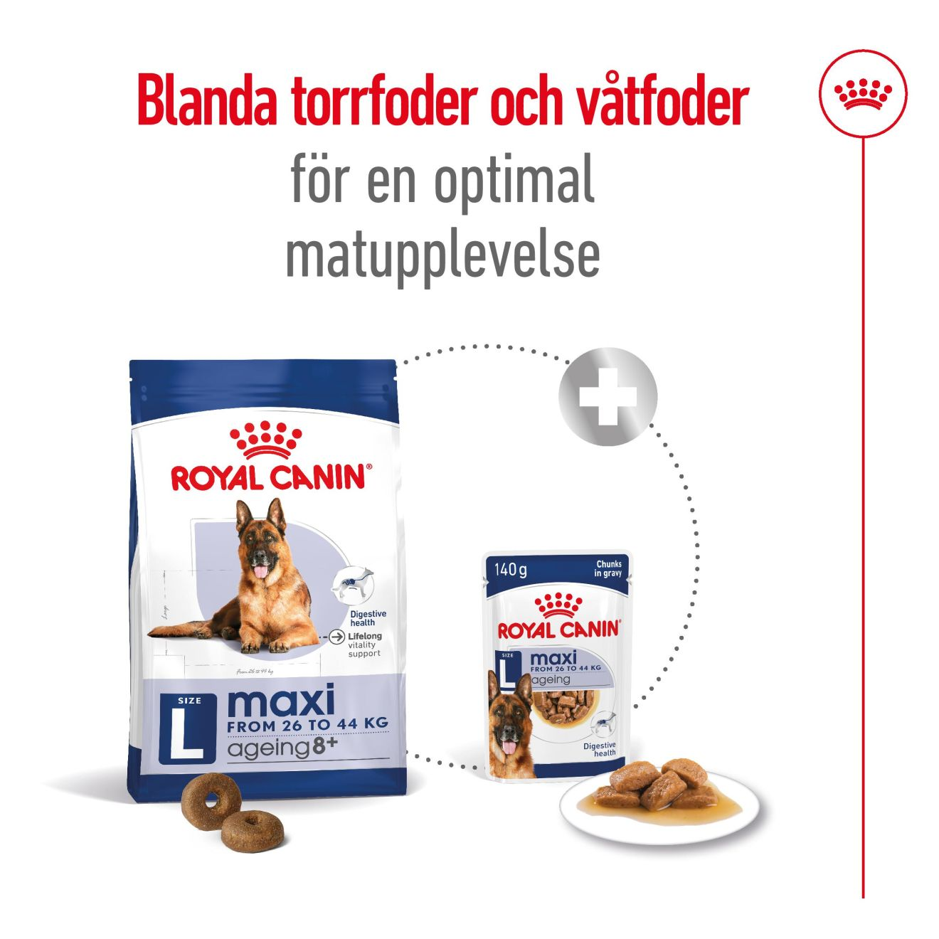 Royal Canin Maxi Ageing 8+