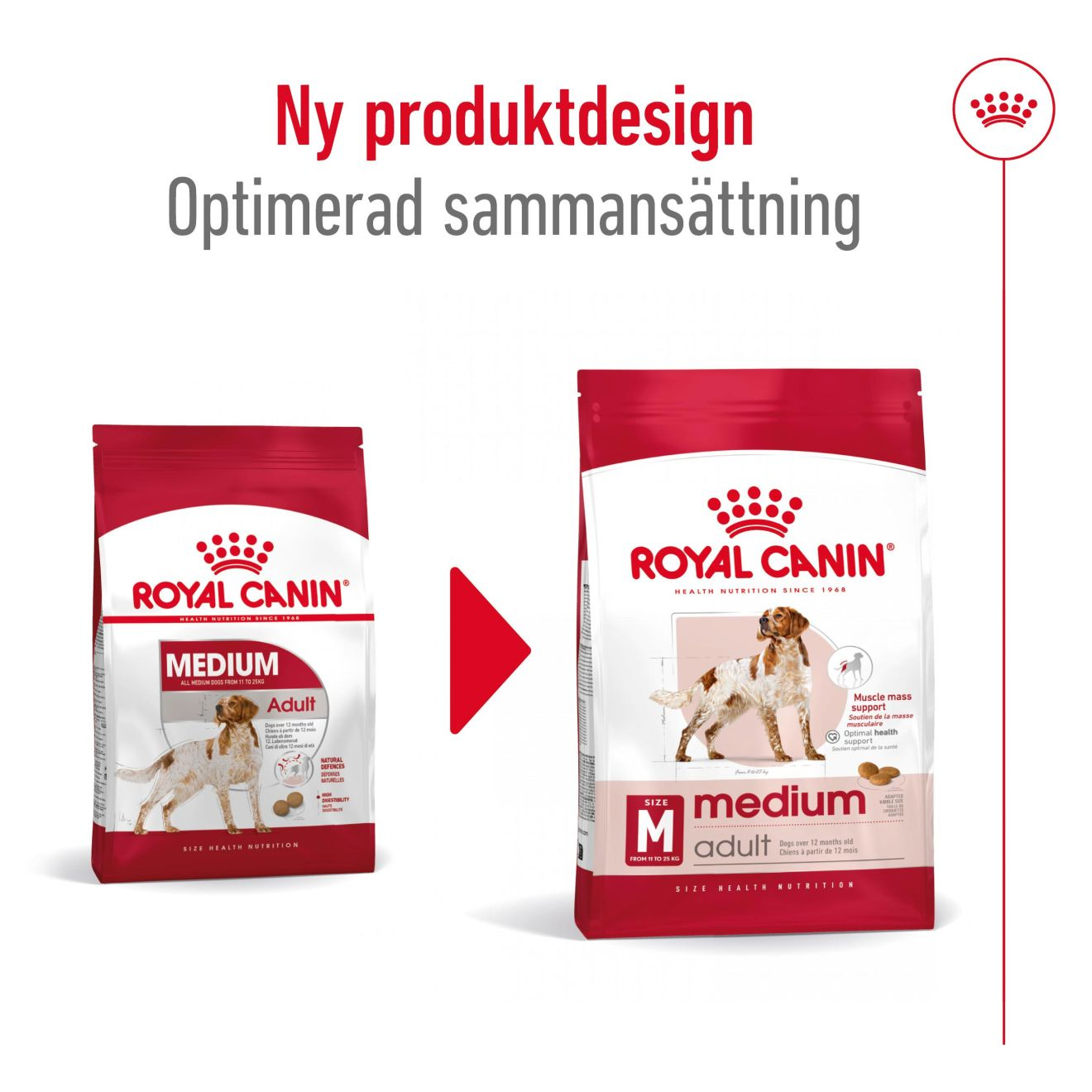 Royal Canin Medium Adult