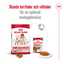 Royal Canin Medium Adult