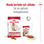 Royal Canin Medium Adult 7+