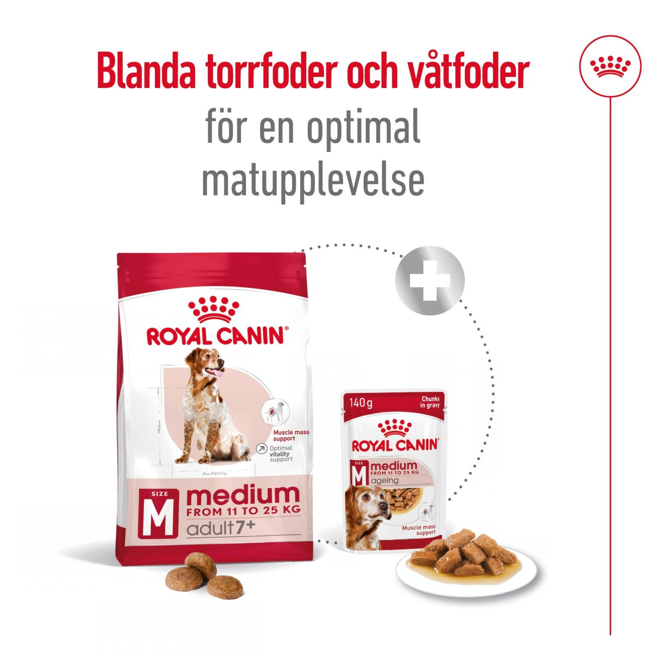 Royal Canin Medium Adult 7+