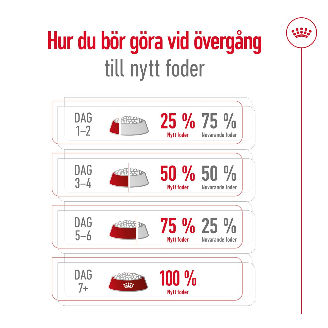 Royal Canin Medium Ageing 10+