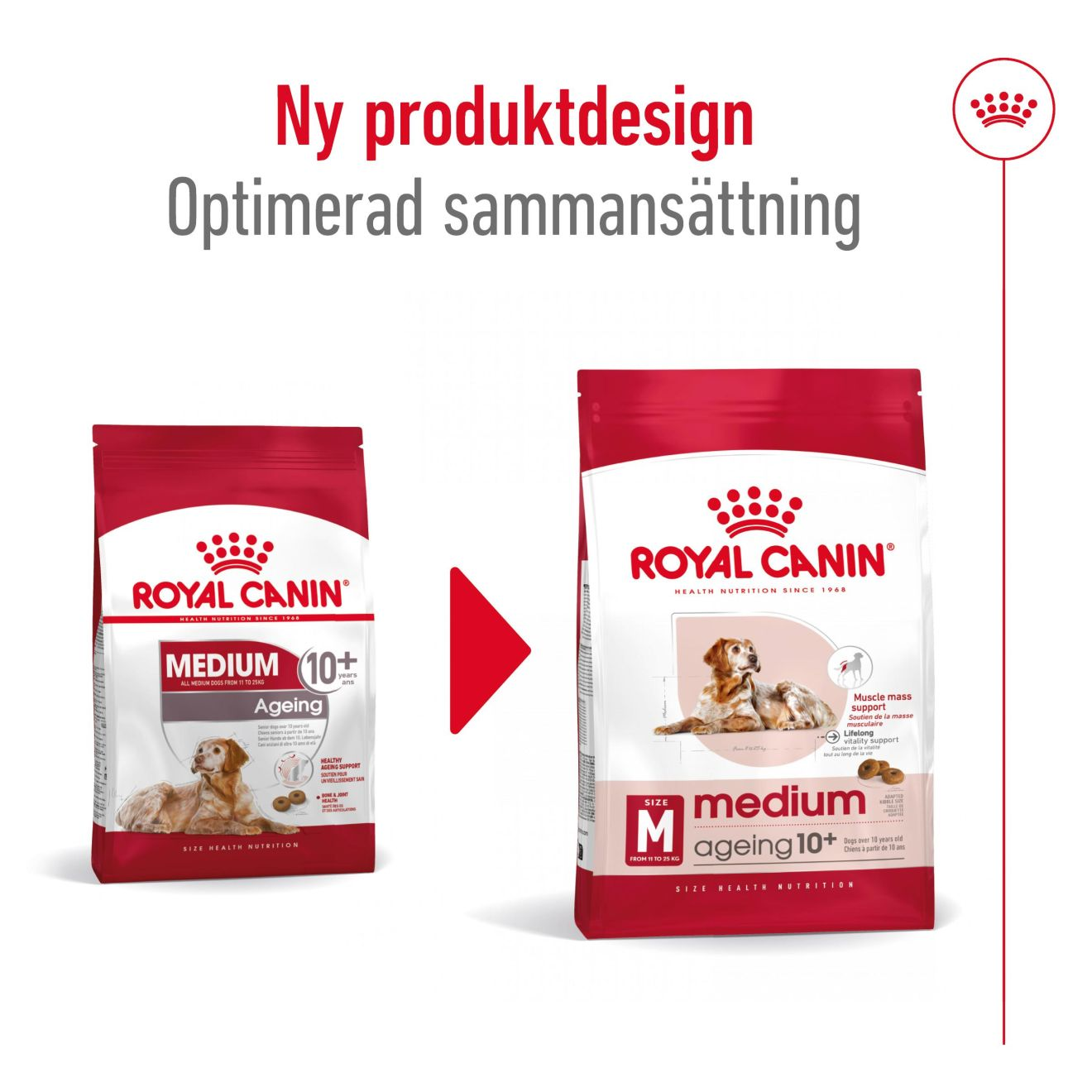 Royal Canin Medium Ageing 10+