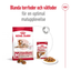 Royal Canin Medium Ageing 10+