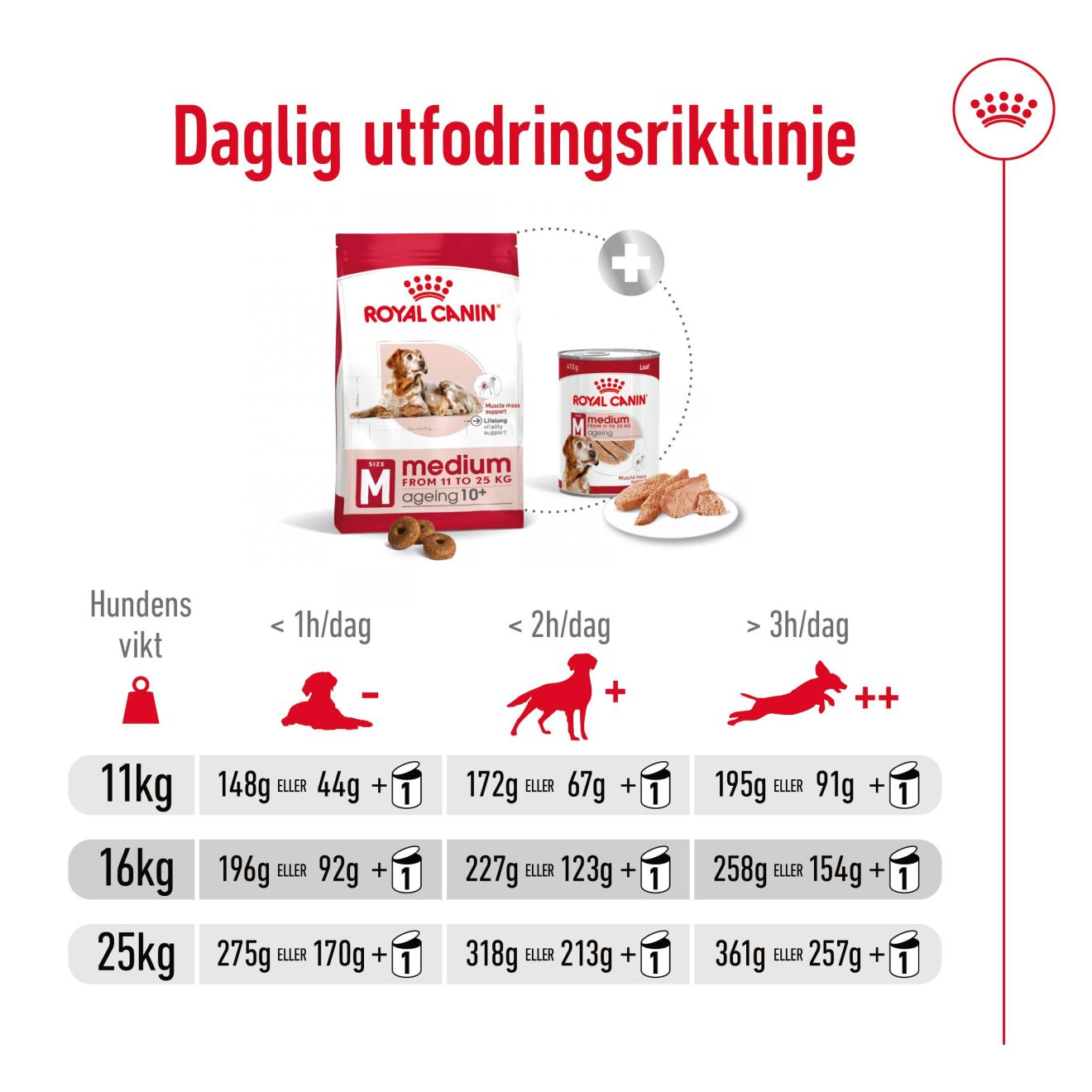 Royal Canin Medium Ageing 10+