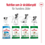 Royal Canin Mini Adult