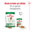 Royal Canin Mini Adult