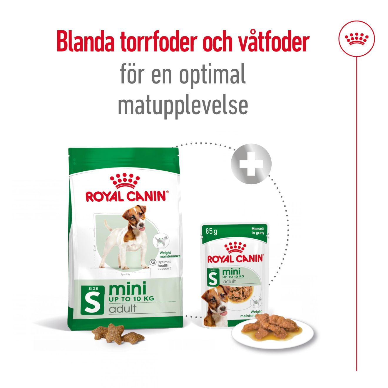 Royal Canin Mini Adult