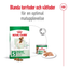 Royal Canin Mini Adult