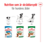 Royal Canin Mini Adult Gravy