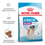 Royal Canin Giant Junior 8+