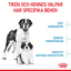 Royal Canin Giant Starter Mother & Babydog