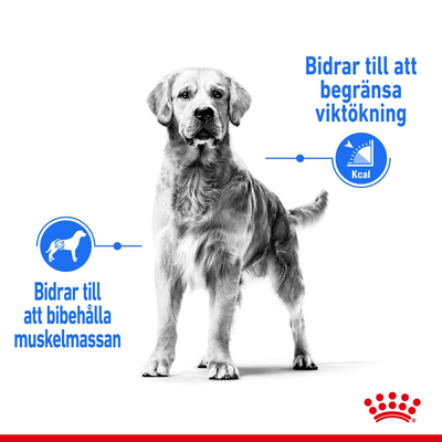 Royal Canin Light Weight Care Maxi