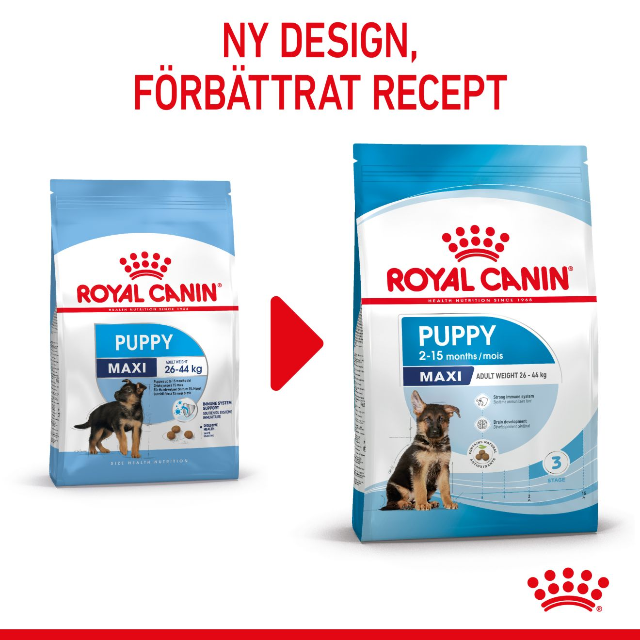 Royal Canin Maxi Puppy