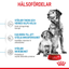 Royal Canin Medium Starter Mother & Babydog