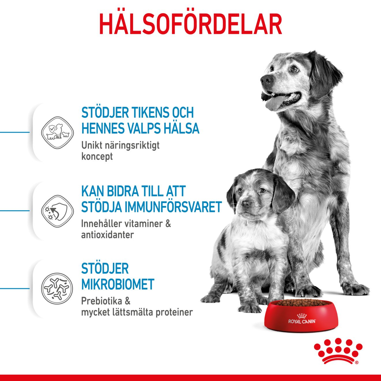 Royal Canin Medium Starter Mother & Babydog