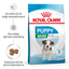 Royal Canin Mini Puppy