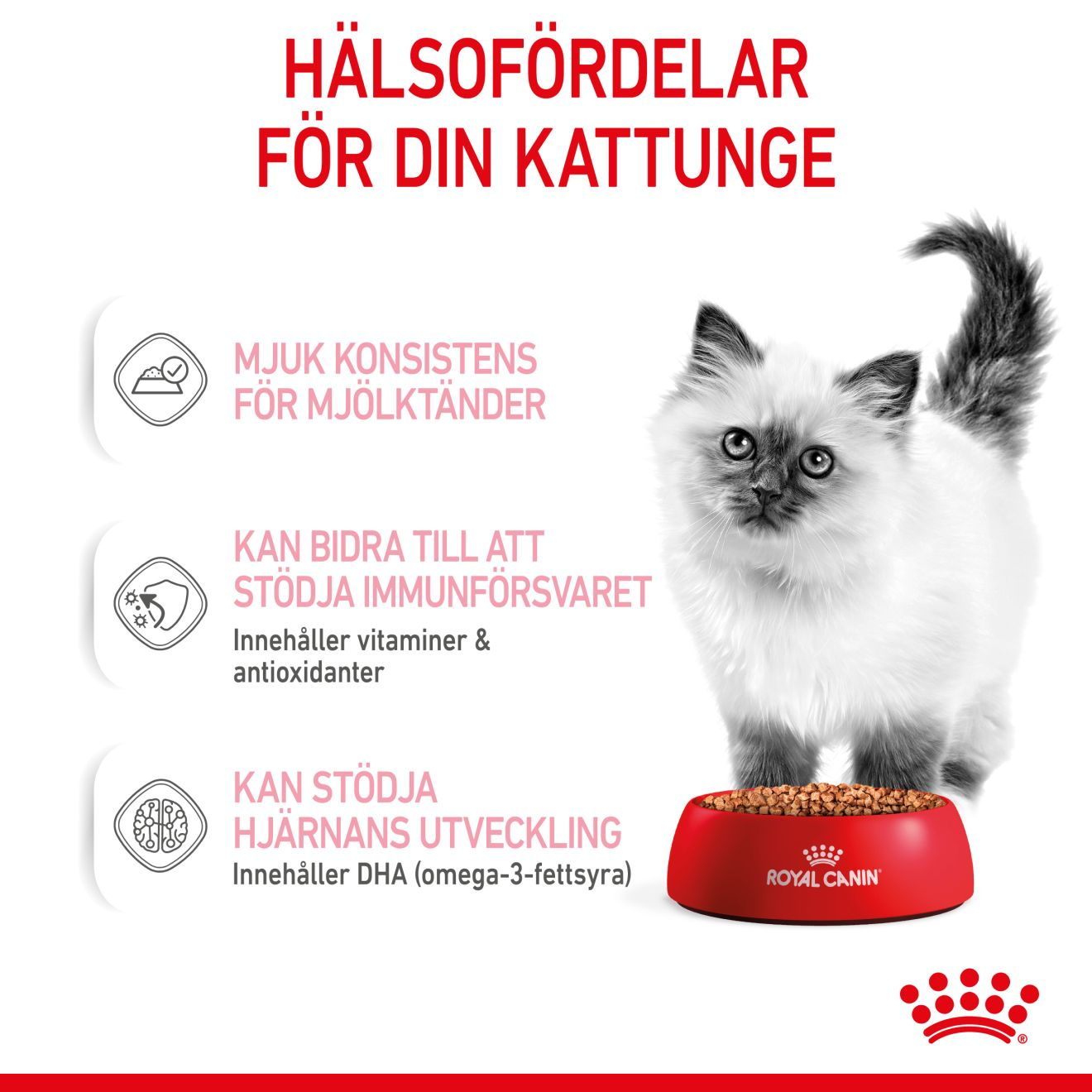 Royal Canin Kitten Gravy