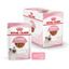 Royal Canin Kitten Gravy