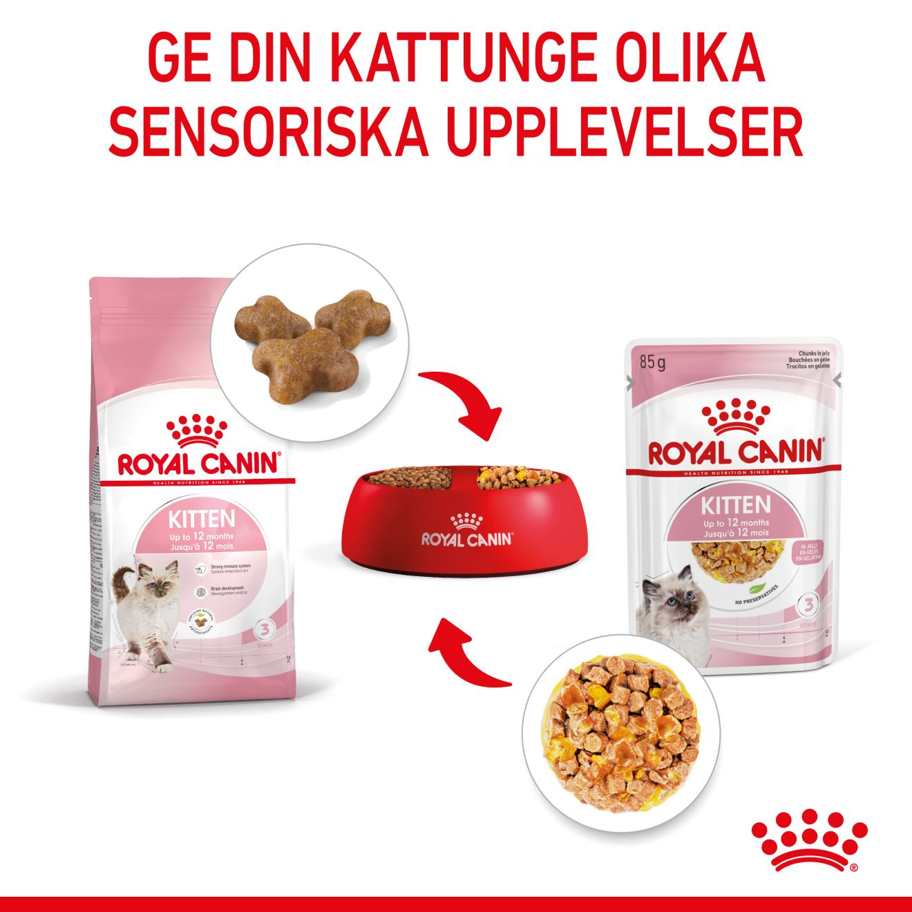 Royal Canin Kitten Jelly